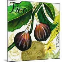 Tuscan Sun Figs-Jennifer Garant-Mounted Giclee Print