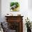 Tuscan Sun Figs-Jennifer Garant-Mounted Giclee Print displayed on a wall