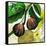 Tuscan Sun Figs-Jennifer Garant-Framed Stretched Canvas