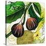 Tuscan Sun Figs-Jennifer Garant-Stretched Canvas