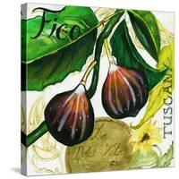 Tuscan Sun Figs-Jennifer Garant-Stretched Canvas