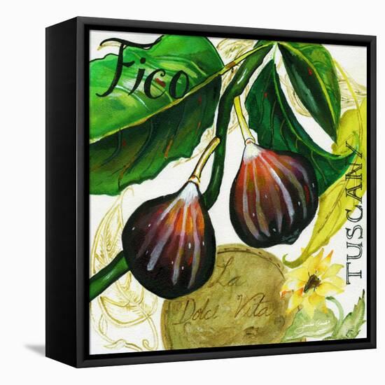 Tuscan Sun Figs-Jennifer Garant-Framed Stretched Canvas