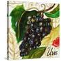 Tuscan Sun Grapes-Jennifer Garant-Stretched Canvas