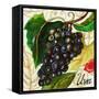 Tuscan Sun Grapes-Jennifer Garant-Framed Stretched Canvas