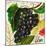 Tuscan Sun Grapes-Jennifer Garant-Mounted Giclee Print