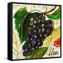 Tuscan Sun Grapes-Jennifer Garant-Framed Stretched Canvas