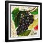 Tuscan Sun Grapes-Jennifer Garant-Framed Giclee Print