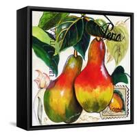 Tuscan Sun Pears-Jennifer Garant-Framed Stretched Canvas