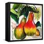 Tuscan Sun Pears-Jennifer Garant-Framed Stretched Canvas