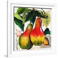 Tuscan Sun Pears-Jennifer Garant-Framed Giclee Print