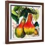 Tuscan Sun Pears-Jennifer Garant-Framed Giclee Print