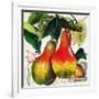 Tuscan Sun Pears-Jennifer Garant-Framed Giclee Print