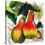 Tuscan Sun Pears-Jennifer Garant-Stretched Canvas