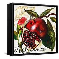Tuscan Sun Pomegranate-Jennifer Garant-Framed Stretched Canvas