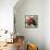 Tuscan Sun Pomegranate-Jennifer Garant-Framed Stretched Canvas displayed on a wall