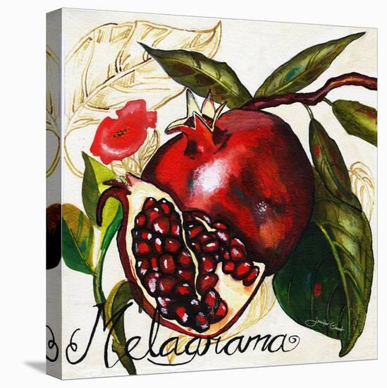 Tuscan Sun Pomegranate-Jennifer Garant-Stretched Canvas