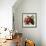 Tuscan Sun Pomegranate-Jennifer Garant-Framed Giclee Print displayed on a wall