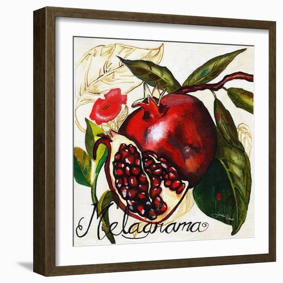 Tuscan Sun Pomegranate-Jennifer Garant-Framed Giclee Print