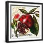 Tuscan Sun Pomegranate-Jennifer Garant-Framed Giclee Print