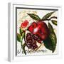 Tuscan Sun Pomegranate-Jennifer Garant-Framed Giclee Print