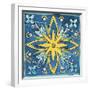 Tuscan Sun Tile I Color-Anne Tavoletti-Framed Premium Giclee Print