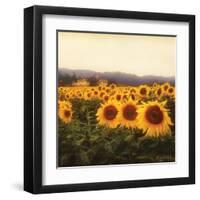 Tuscan Sunflowers-Amy Melious-Framed Art Print