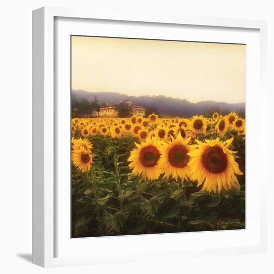 Tuscan Sunflowers-Amy Melious-Framed Premium Giclee Print