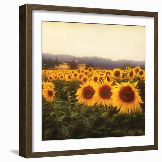 Tuscan Sunflowers-Amy Melious-Framed Art Print