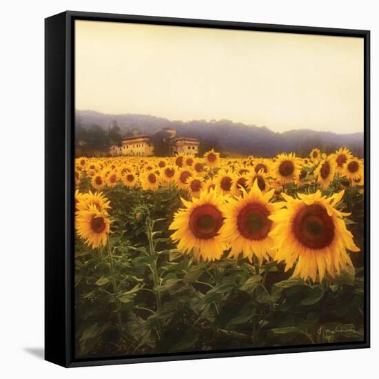 Tuscan Sunflowers-Amy Melious-Framed Stretched Canvas