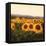 Tuscan Sunflowers-Amy Melious-Framed Stretched Canvas