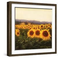 Tuscan Sunflowers-Amy Melious-Framed Art Print