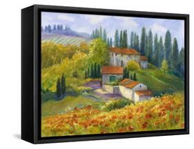 Tuscan Sunlight-Rosanne Kaloustian-Framed Stretched Canvas