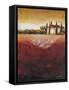 Tuscan Sunset-Jennifer Garant-Framed Stretched Canvas