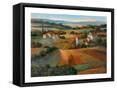 Framed Canvas