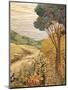 Tuscan Tapestry 11-null-Mounted Art Print