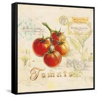 Tuscan Tomato-Angela Staehling-Framed Stretched Canvas