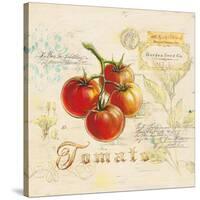 Tuscan Tomato-Angela Staehling-Stretched Canvas