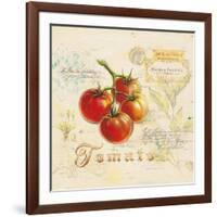 Tuscan Tomato-Angela Staehling-Framed Art Print