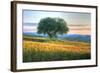 Tuscan Tree Pink Sunset-Robert Goldwitz-Framed Photographic Print