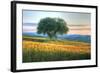 Tuscan Tree Pink Sunset-Robert Goldwitz-Framed Photographic Print