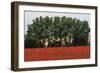 Tuscan Treeline Poppies-Robert Goldwitz-Framed Photographic Print