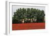 Tuscan Treeline Poppies-Robert Goldwitz-Framed Photographic Print