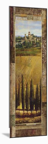 Tuscan Valley II-Patrick-Mounted Giclee Print