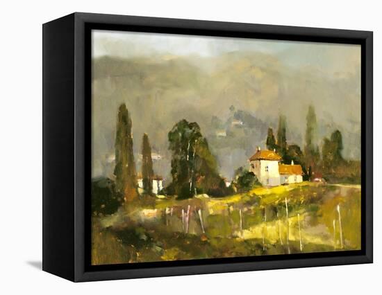 Tuscan Valley-Ted Goerschner-Framed Stretched Canvas