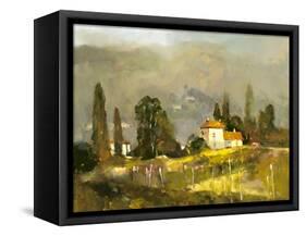 Tuscan Valley-Ted Goerschner-Framed Stretched Canvas