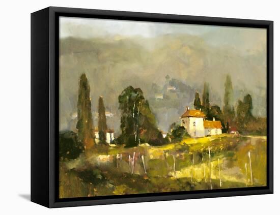 Tuscan Valley-Ted Goerschner-Framed Stretched Canvas