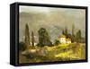 Tuscan Valley-Ted Goerschner-Framed Stretched Canvas