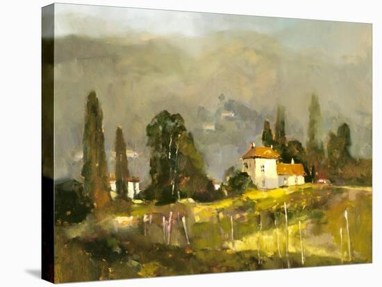 Tuscan Valley-Ted Goerschner-Stretched Canvas