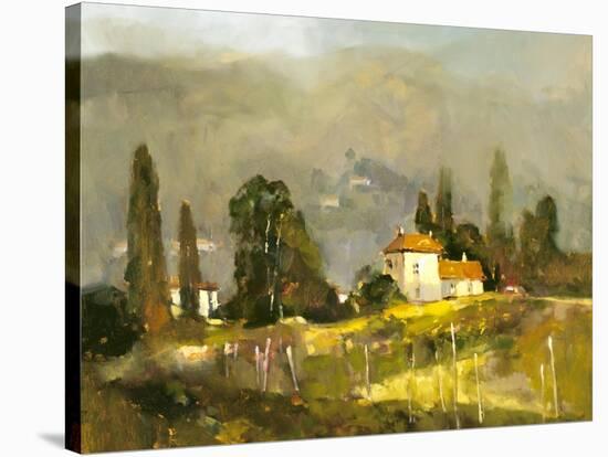 Tuscan Valley-Ted Goerschner-Stretched Canvas