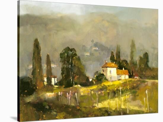 Tuscan Valley-Ted Goerschner-Stretched Canvas